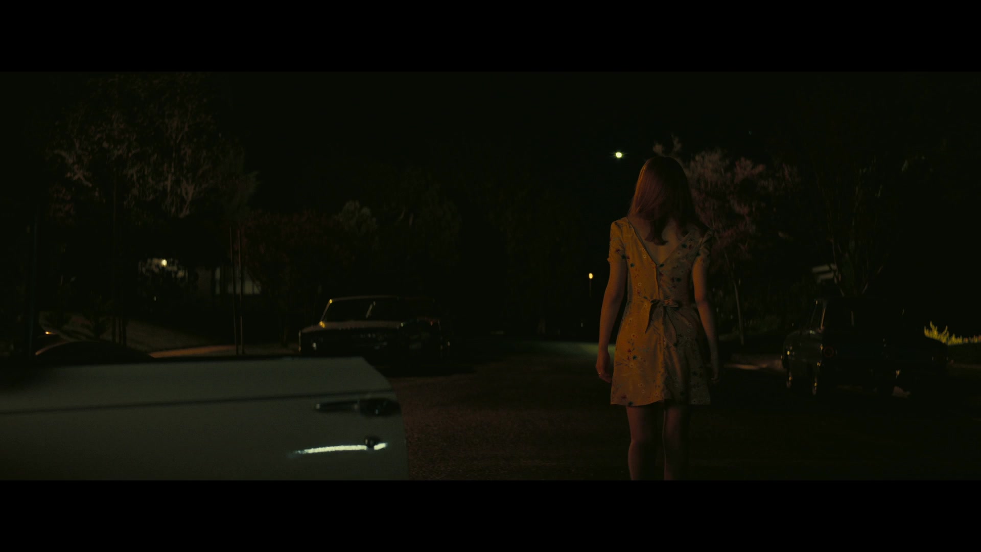 Angelyne_S01E05_Pink_Clouds_1080p_ERW_003725.jpg