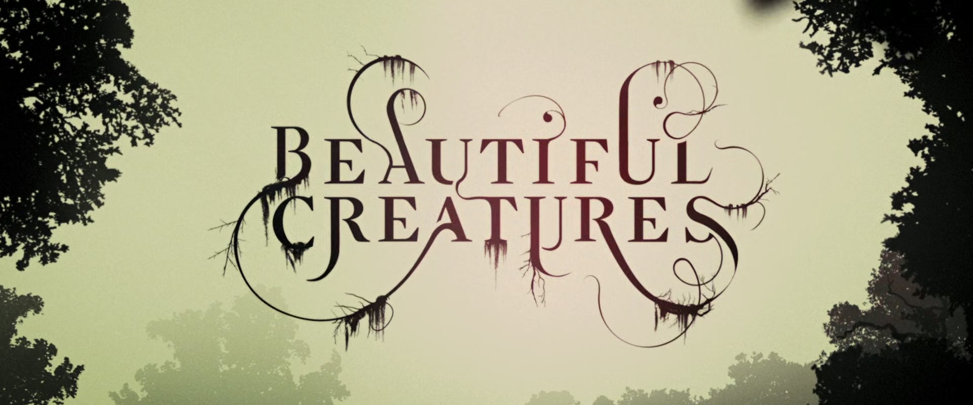 Beautiful_Creatures_2013_1080p_BluRay_ERW_016303.jpg
