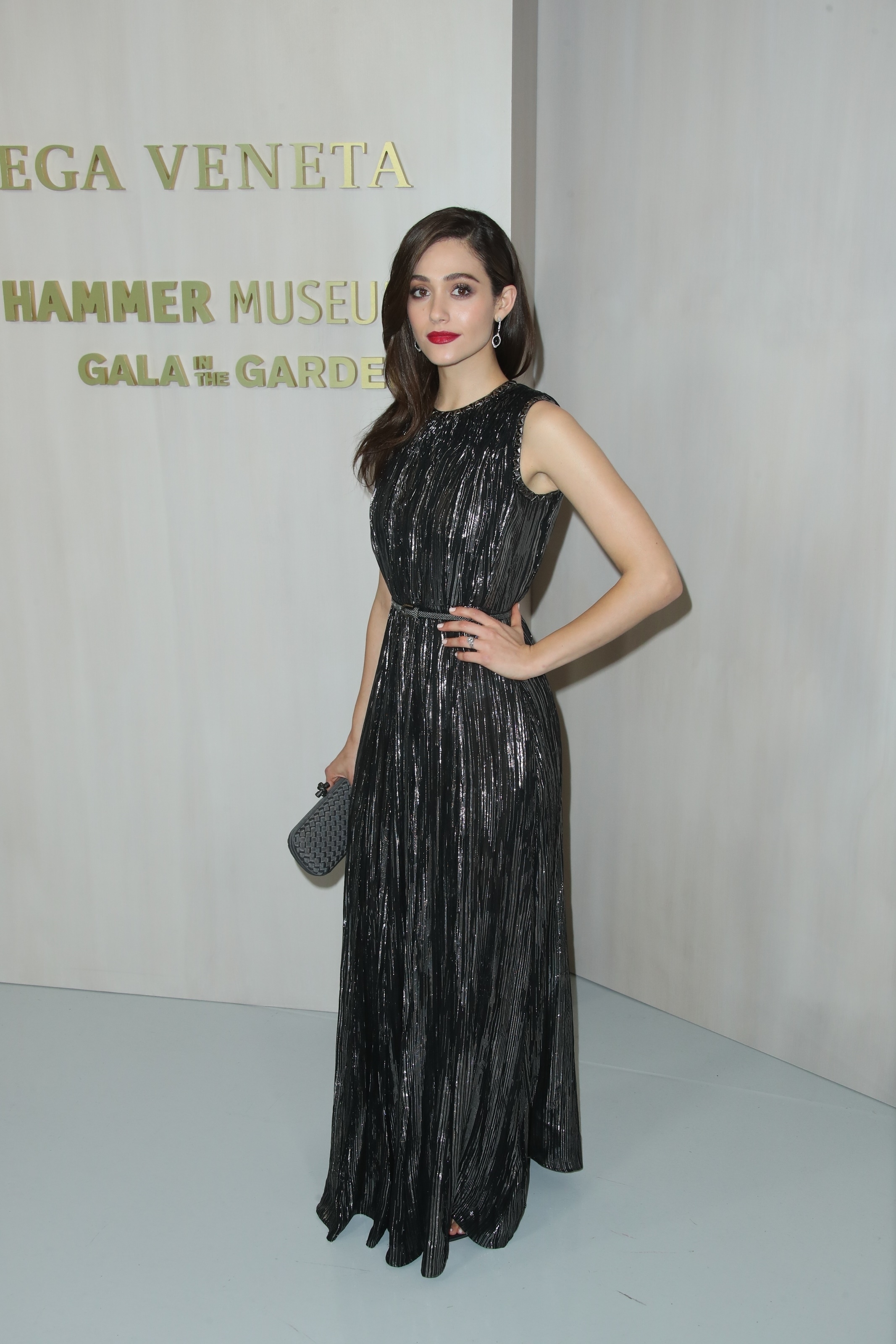 HammerMuseumGala_Arrivals17_ERW_287629.jpg