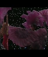 Angelyne_S01E03_Glow_in_the_Dark_Queen_of_the_Universe_1080p_ERW_004889.jpg