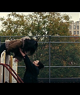Furious_S01E06_They_Make_a_Noise_Like_Feathers_1080p_ERW_002783.jpg