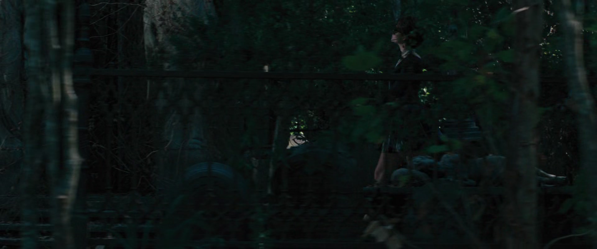 Beautiful_Creatures_2013_1080p_BluRay_ERW_013756.jpg